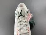 Air Jordan 3 IF4491-100