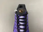 Nike Air Max Plus OG 'Voltage Purple' 2024 DX0755-500