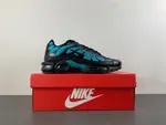 Nike Air Max Plus 'Black Dusty Cactus' dm0032-016