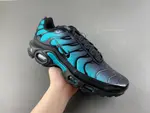 Nike Air Max Plus 'Black Dusty Cactus' dm0032-016