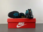 Nike Air Max Plus 'Black Dusty Cactus' dm0032-016