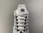 Nike Air Max Plus TN 'Wolf Grey TN 852630-021
