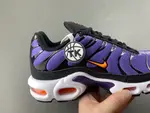 Nike Air Max Plus OG 'Voltage Purple' 2024 DX0755-500