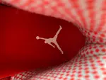 Air Jordan 10 Retro 'Red Steel' 2005 310805-161