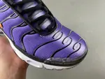 Nike Air Max Plus OG 'Voltage Purple' 2024 DX0755-500