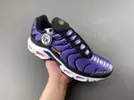Nike Air Max Plus OG 'Voltage Purple' 2024 DX0755-500