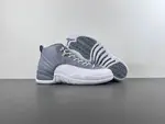 Air Jordan 12 STEALTH CT8013-015