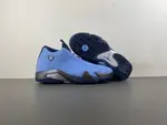 Air Jordan 14 PE “ IF5015-407
