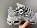 Nike Air Max Plus TN 'Wolf Grey TN 852630-021