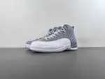 Air Jordan 12 STEALTH CT8013-015