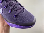Nike Kobe 9 EM Protro “Purple Dynasty” IH1401-500