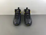 Air Jordan 12 Black Taxi  CT8013-071
