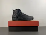 AIR JORDAN 12 CT8013-010