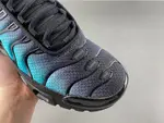 Nike Air Max Plus 'Black Dusty Cactus' dm0032-016