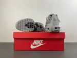 Nike Air Max Plus TN 'Wolf Grey TN 852630-021