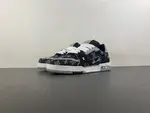 Louis Vuitton LV trainer