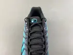 Nike Air Max Plus 'Black Dusty Cactus' dm0032-016