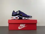 Nike Air Max Plus OG 'Voltage Purple' 2024 DX0755-500