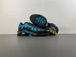 Nike Air Max Plus 'Black Dusty Cactus' dm0032-016