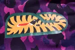 BAPE Shark Shorts