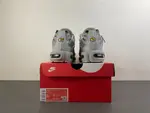 Nike Air Max Plus TN 'Wolf Grey TN 852630-021