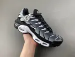 Air Max Plus TN DM0032-003