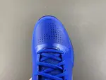 NIKE Kobe 5 PROTRO DODGERS  IO6256-400