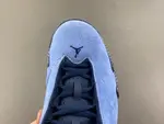 Air Jordan 14 PE “ IF5015-407