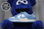 DUNK SB LOW COAST