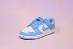 DUNK SB LOW COAST