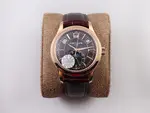 PATEKPHILIPPE 5205G-013 s eries watch