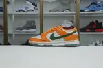 Nike Dunk Low Florida A&M
