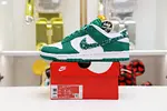 NIKE DUNK LOW ESSENTIAL PAISLEY PACK GREEN (W)