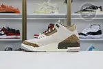 Jordan Air Jordan3"Palomino"
