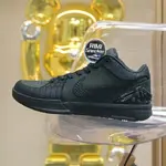 Nike Kobe 4 Protro "Black Mamba"
