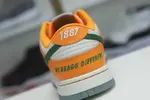 Nike Dunk Low Florida A&M
