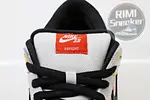 DUNK LOW PRO ROSWELL RAYGUN