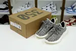 Yeezy boost 350 turtle dove