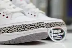 AIR JORDAN 3 RETRO 'CARDINAL RED' -116