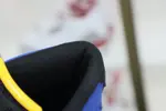Jordan Air Jordan 14 Retro"Laney"
