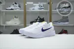 Nike Kobe 8 Protro