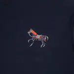 Embroidered Pony T-shirt