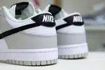 Nike Dunk Low Retro SE  Scratch Off Coin  Jackpot