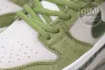 Yuto Horigome x Nike Dunk SB Asparagus