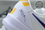 Nike Kobe 8 Protro