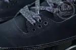 Jordan Air Jordan3“Black Cat”