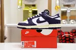 DUNK SB