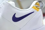 Nike Kobe 8 Protro