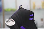 AIR JORDAN 12 RETRO 'DARK CONCORD'