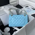CH*ELClassic Flap Bag A01113, Top Quality, Medium Size: 23cm